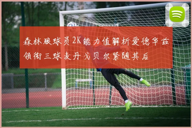 森林狼球员2K能力值解析爱德华兹领衔三球麦丹戈贝尔紧随其后